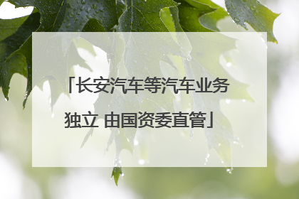 长安汽车等汽车业务独立 由国资委直管