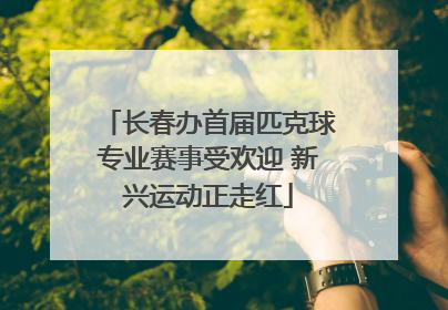 长春办首届匹克球专业赛事受欢迎 新兴运动正走红