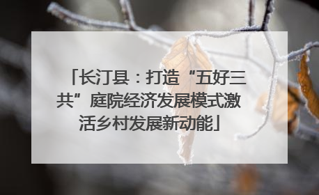 长汀县：打造“五好三共”庭院经济发展模式激活乡村发展新动能
