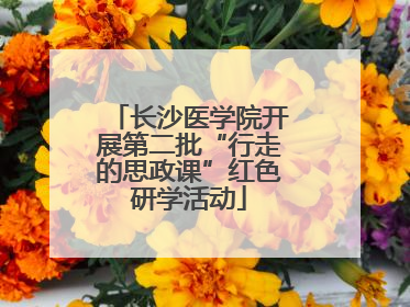 长沙医学院开展第二批“行走的思政课”红色研学活动
