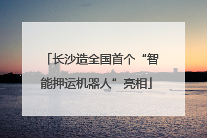 长沙造全国首个“智能押运机器人”亮相