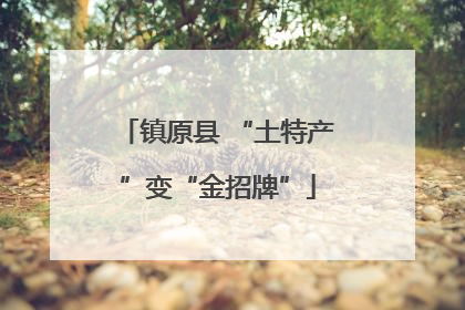 镇原县 “土特产”变“金招牌”