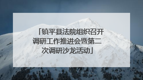 镇平县法院组织召开调研工作推进会暨第二次调研沙龙活动