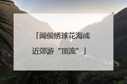 闽侯绣球花海成近郊游“顶流”