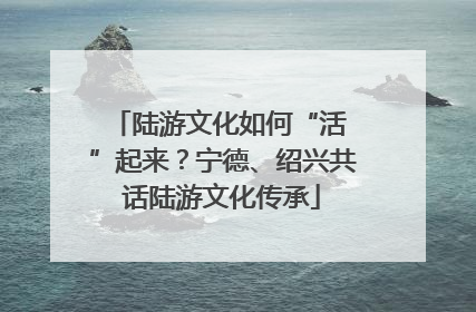 陆游文化如何“活 ”起来?宁德、绍兴共话陆游文化传承