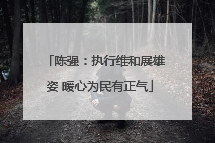陈强：执行维和展雄姿 暖心为民有正气