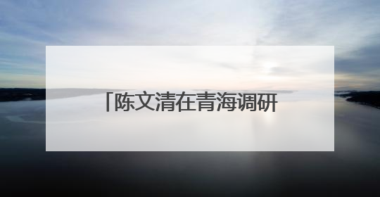陈文清在青海调研时强调 坚决扛起维护国家安全和社会稳定职责使命 为谱写中国式现代化青海篇章贡献政法力量