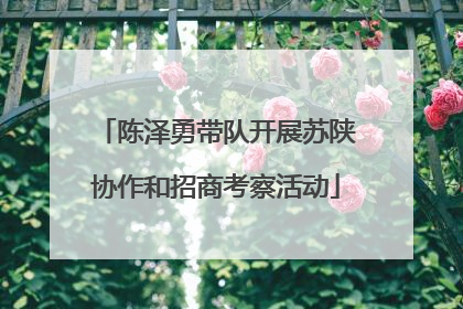 陈泽勇带队开展苏陕协作和招商考察活动