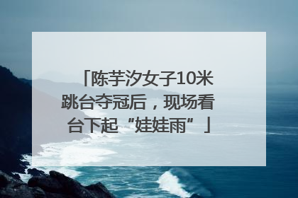 陈芋汐女子10米跳台夺冠后，现场看台下起“娃娃雨”