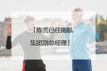 陈詟已任南航集团副总经理