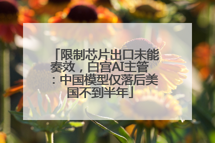 限制芯片出口未能奏效，白宫AI主管：中国模型仅落后美国不到半年