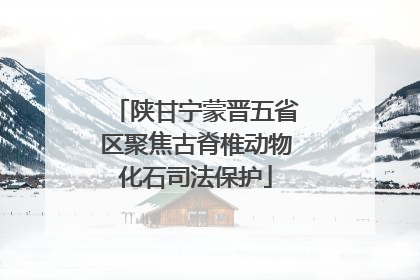 陕甘宁蒙晋五省区聚焦古脊椎动物化石司法保护