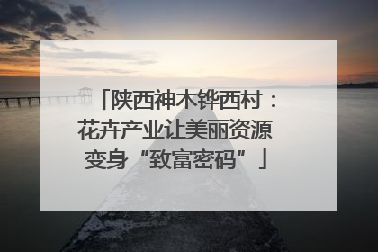 陕西神木铧西村：花卉产业让美丽资源变身“致富密码”