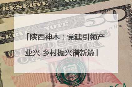 陕西神木：党建引领产业兴 乡村振兴谱新篇