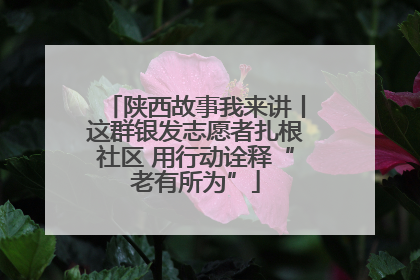 陕西故事我来讲丨这群银发志愿者扎根社区 用行动诠释“老有所为”