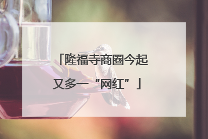 隆福寺商圈今起又多一“网红”