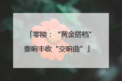 零陵：“黄金搭档”奏响丰收“交响曲”