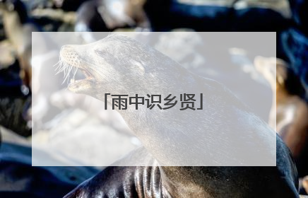 雨中识乡贤