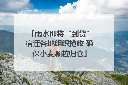 雨水即将“到货” 宿迁各地组织抢收 确保小麦颗粒归仓