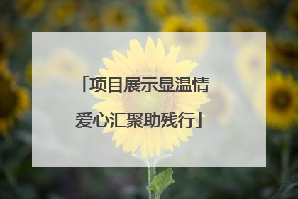项目展示显温情 爱心汇聚助残行