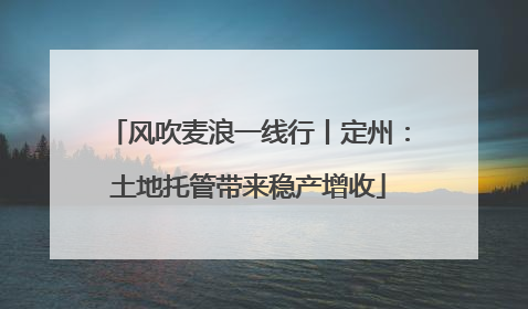 风吹麦浪一线行丨定州：土地托管带来稳产增收