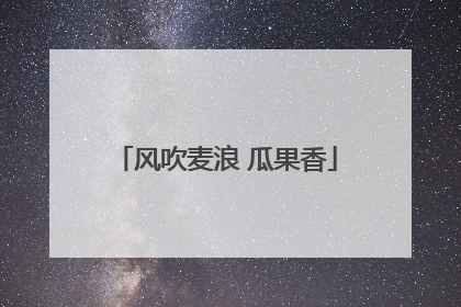 风吹麦浪 瓜果香
