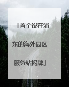 首个设在浦东的海外园区服务站揭牌