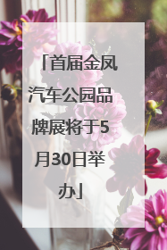 首届金凤汽车公园品牌展将于5月30日举办