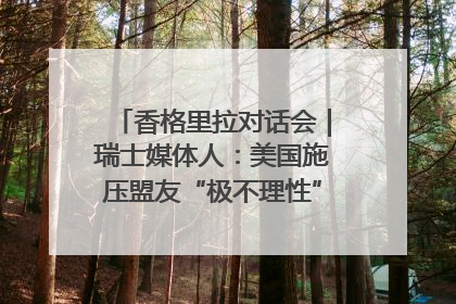 香格里拉对话会｜瑞士媒体人：美国施压盟友“极不理性” 欧洲国家无意与中国“脱钩断链”