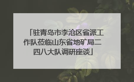 驻青岛市李沧区省派工作队莅临山东省地矿局二四八大队调研座谈