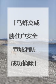 马蜂窝威胁住户安全 宣城消防成功摘除