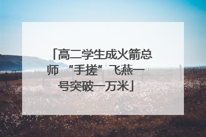 高二学生成火箭总师 “手搓”飞燕一号突破一万米