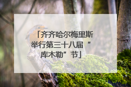 齐齐哈尔梅里斯举行第三十八届“库木勒”节
