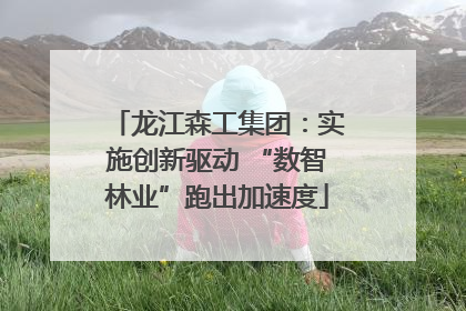 龙江森工集团：实施创新驱动 “数智林业”跑出加速度