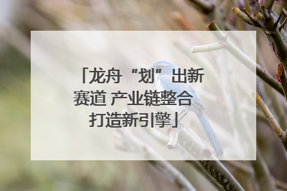 龙舟“划”出新赛道 产业链整合打造新引擎