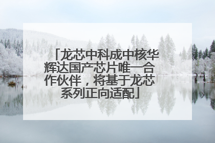 龙芯中科成中核华辉达国产芯片唯一合作伙伴，将基于龙芯系列正向适配