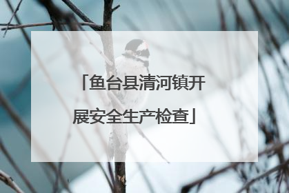 鱼台县清河镇开展安全生产检查