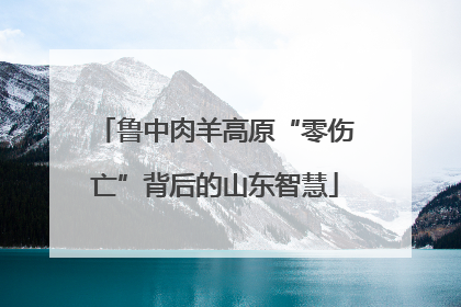鲁中肉羊高原“零伤亡”背后的山东智慧