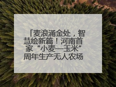 麦浪涌金处，智慧绘新篇！河南首家“小麦—玉米”周年生产无人农场喜迎丰收