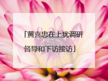 黄喜忠在上犹调研督导和下访接访