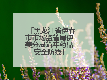 黑龙江省伊春市市场监管局伊美分局筑牢药品安全防线