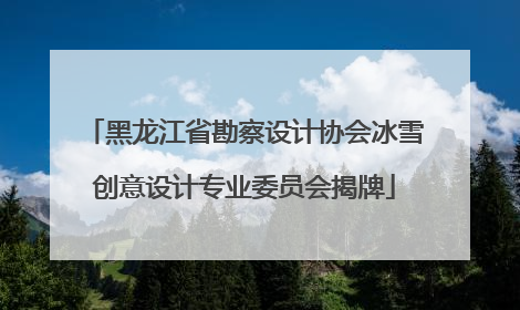 黑龙江省勘察设计协会冰雪创意设计专业委员会揭牌