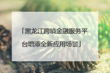 黑龙江跨境金融服务平台增添全新应用场景