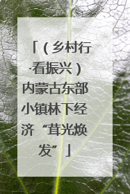 （乡村行·看振兴）内蒙古东部小镇林下经济“茸光焕发”