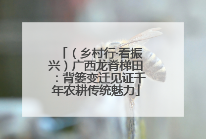（乡村行·看振兴）广西龙脊梯田：背篓变迁见证千年农耕传统魅力