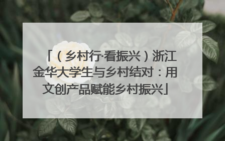 （乡村行·看振兴）浙江金华大学生与乡村结对：用文创产品赋能乡村振兴