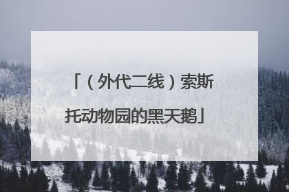 （外代二线）索斯托动物园的黑天鹅
