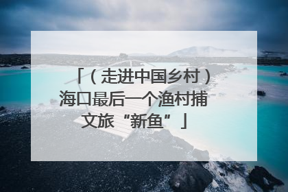 （走进中国乡村）海口最后一个渔村捕文旅“新鱼”