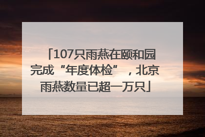 107只雨燕在颐和园完成“年度体检”，北京雨燕数量已超一万只