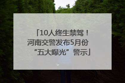 10人终生禁驾！河南交警发布5月份“五大曝光”警示